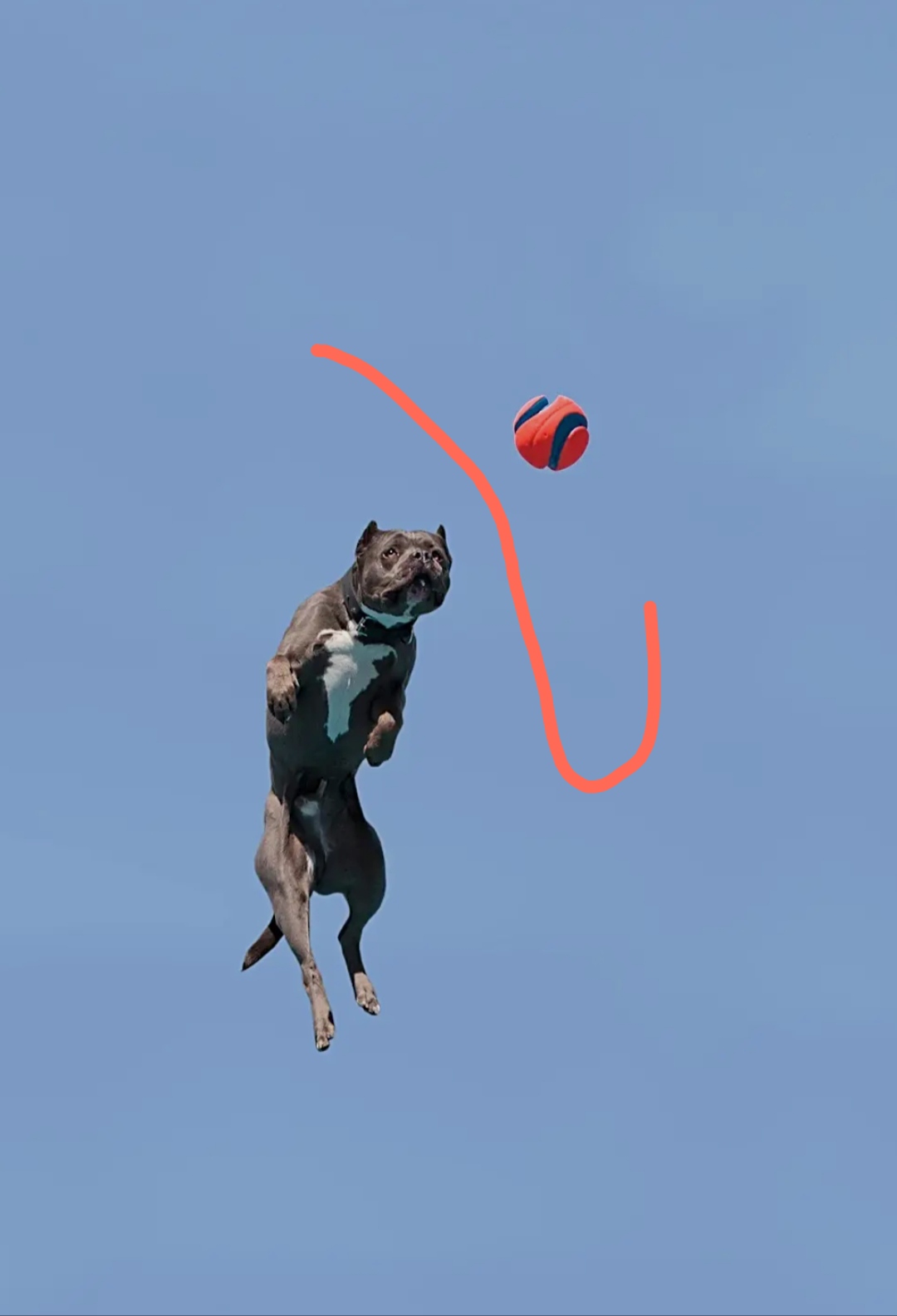 flag